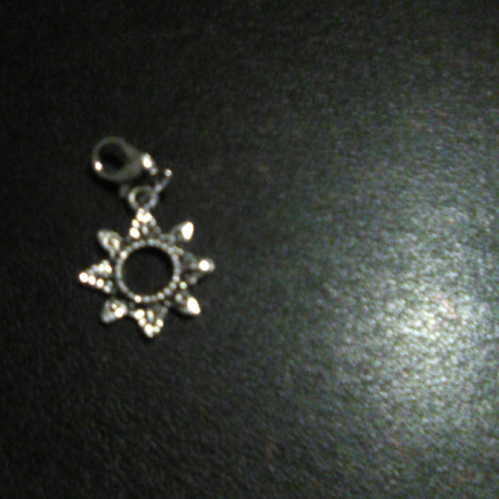 Silver charm